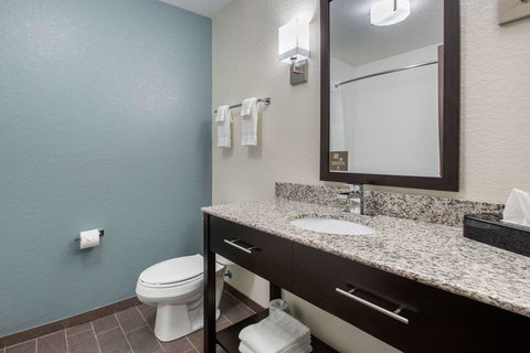 Sleep Inn & Suites Ankeny - Des Moines - LBG 8
