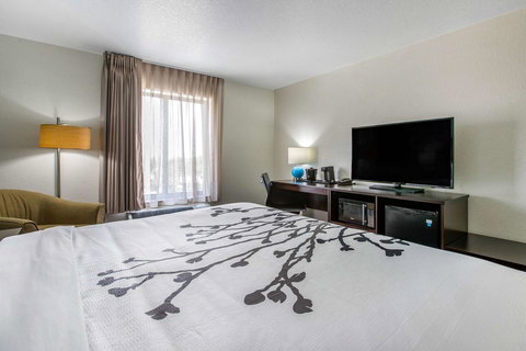 Sleep Inn & Suites Ankeny - Des Moines - LBG 30