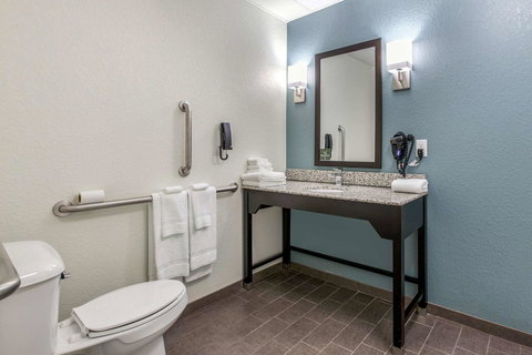 Sleep Inn & Suites Ankeny - Des Moines - LBG 28