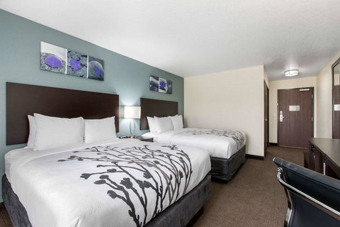 Sleep Inn & Suites Ankeny - Des Moines - LBG 39