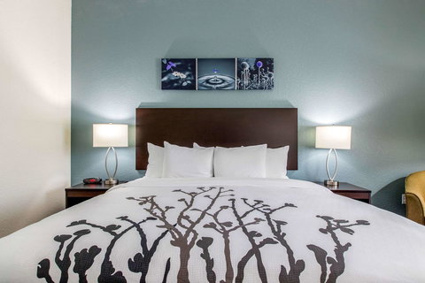 Sleep Inn & Suites Ankeny - Des Moines - LBG 35
