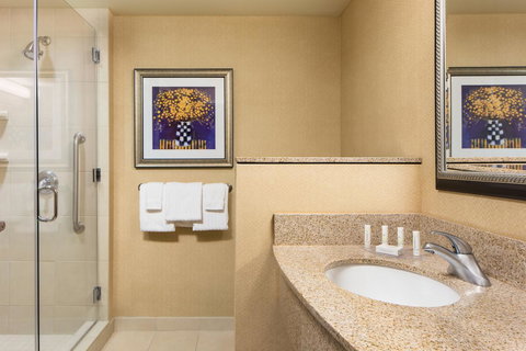 Courtyard Des Moines Ankeny - LBG 18