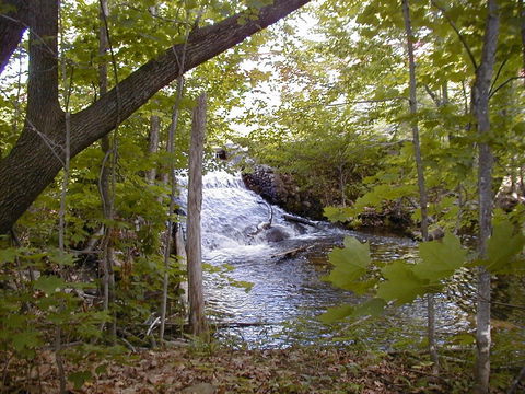 Pleasant Lake House B&B - LBG 32