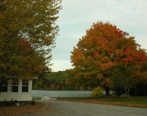 Pleasant Lake House B&B - LBG 26