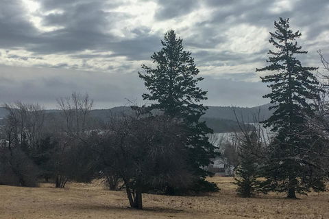 36 Main Apartments - LBG 4