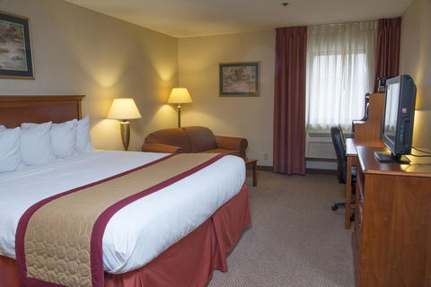 The Carlton Lodge - LBG 15