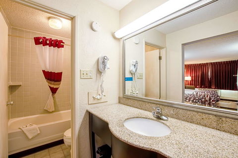 Red Roof Inn & Suites Battle Creek - LBG 28