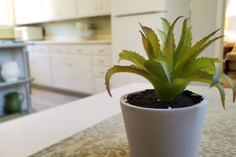 3 Bed APT Near Downtown-6 Guests - LBG 7