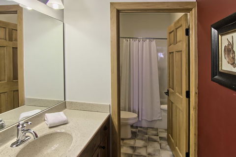 801 Mountain Cabin - LBG 14