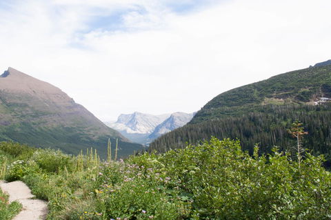 Alpenglow 37C - LBG 32