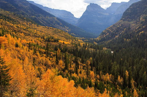 Alpenglow 37C - LBG 33