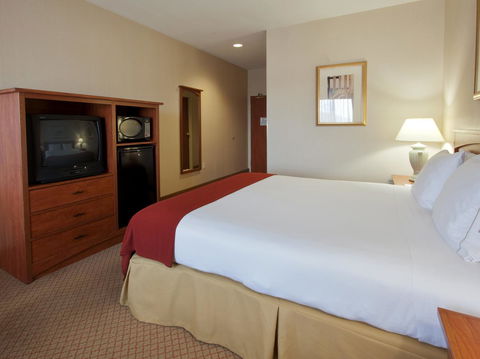 Holiday Inn Express Hotel & Suites Carson City - LBG 1