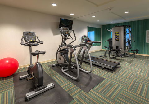 Holiday Inn Express Hotel & Suites Carson City - LBG 7