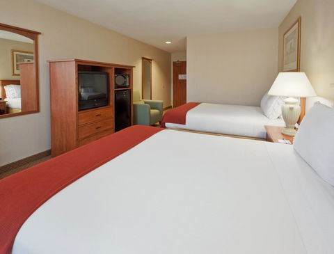 Holiday Inn Express Hotel & Suites Carson City - LBG 30