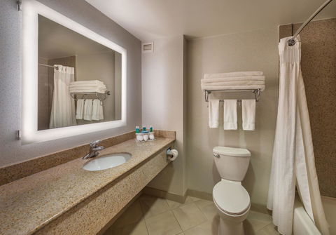 Holiday Inn Express Hotel & Suites Carson City - LBG 6
