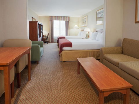 Holiday Inn Express Hotel & Suites Carson City - LBG 14