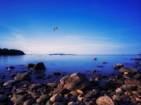 Gold Dust West - LBG 20