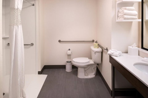 Hampton Inn & Suites Carson City - LBG 17