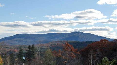 Burkehaven Lodge - LBG 21