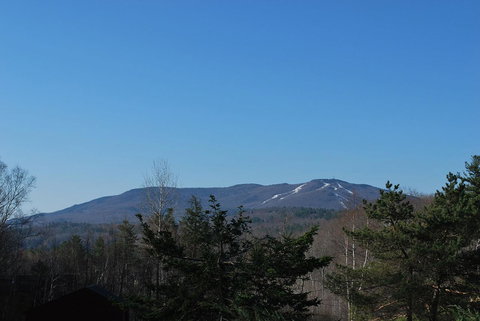 Burkehaven Lodge - LBG 2