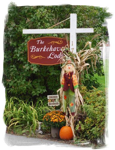 Burkehaven Lodge - LBG 12