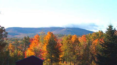 Burkehaven Lodge - LBG 8