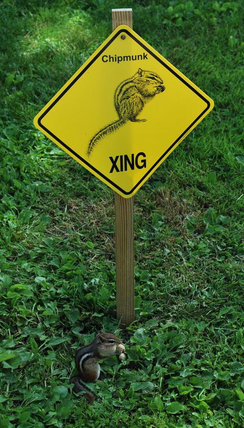 Burkehaven Lodge - LBG 18