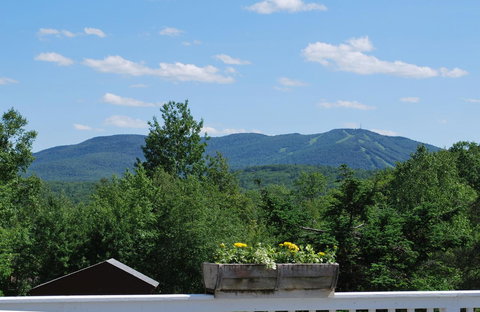 Burkehaven Lodge - LBG 17