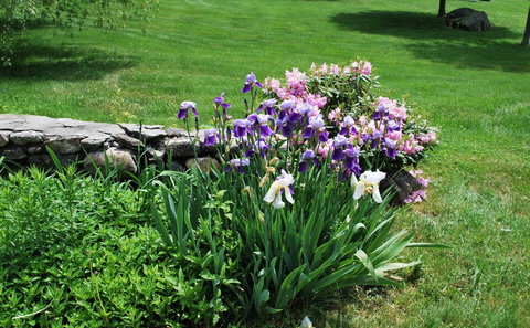 Burkehaven Lodge - LBG 10