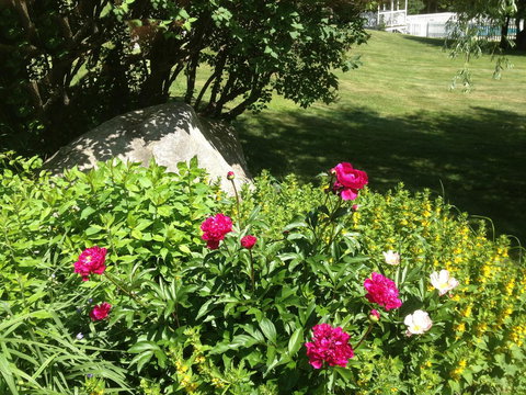 Burkehaven Lodge - LBG 19