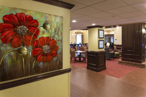 Hampton Inn And Suites Asheville-I-26 - LBG 9