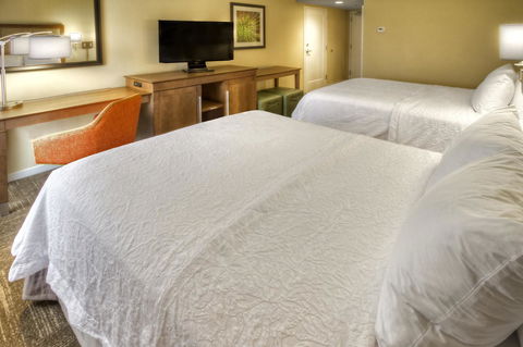 Hampton Inn And Suites Asheville-I-26 - LBG 32