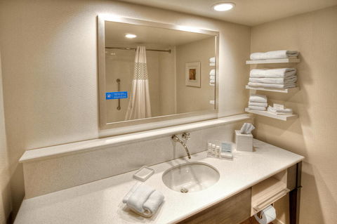 Hampton Inn And Suites Asheville-I-26 - LBG 13