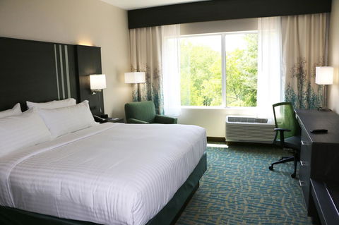 Holiday Inn Express & Suites - Hendersonville SE - Flat Rock - LBG 3