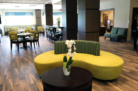 Holiday Inn Express & Suites - Hendersonville SE - Flat Rock - LBG 20
