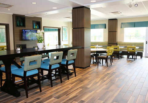 Holiday Inn Express & Suites - Hendersonville SE - Flat Rock - LBG 11