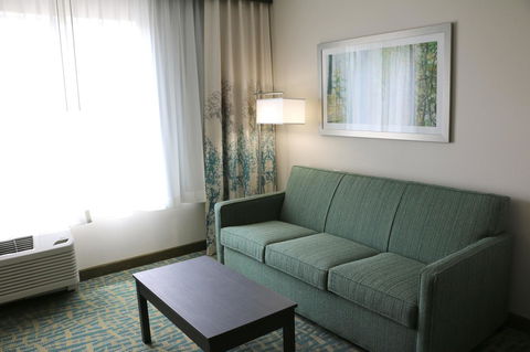 Holiday Inn Express & Suites - Hendersonville SE - Flat Rock - LBG 4