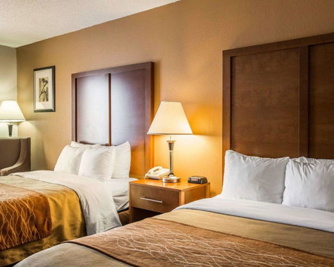 Comfort Inn Asheville Airport - LBG 4