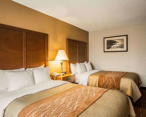 Comfort Inn Asheville Airport - LBG 34