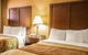 Comfort Inn Asheville Airport - thumb 18