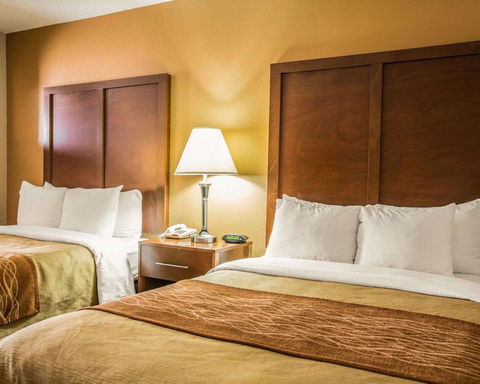 Comfort Inn Asheville Airport - LBG 18
