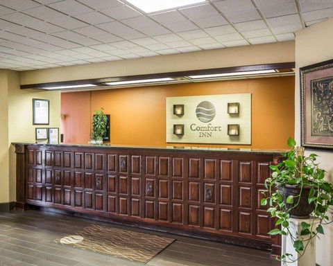 Comfort Inn Asheville Airport - LBG 21