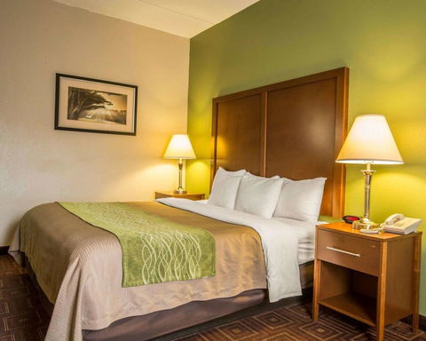 Comfort Inn Asheville Airport - LBG 7