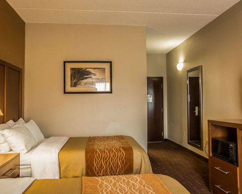 Comfort Inn Asheville Airport - LBG 36