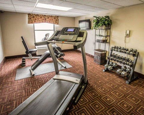 Comfort Inn Asheville Airport - LBG 5