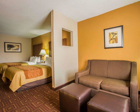 Comfort Inn Asheville Airport - LBG 17