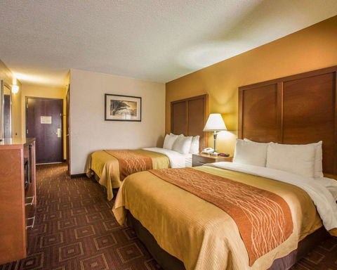 Comfort Inn Asheville Airport - LBG 11