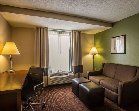 Comfort Inn Asheville Airport - LBG 31