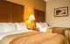 Comfort Inn Asheville Airport - thumb 22