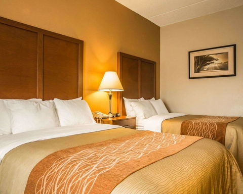 Comfort Inn Asheville Airport - LBG 22